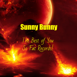 Portada The Best of You So Fat Records!