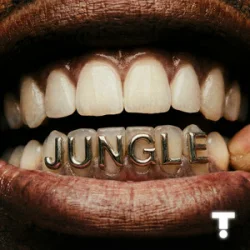 Portada TroyBoi & Shiwa - Jungle