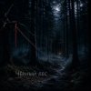 Portada Ведьмина гора - Чёрный лес Ведьмина гора - Чёрный лес