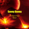 Portada Sunny Bunny - The Best of Ryan Ganar! Sunny Bunny - The Best of Ryan Ganar!