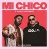 Dj Goja & Jason Derulo - Mi Chico (Dj Dark Remix)