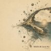 ViTaLiKuS - Horizon Line