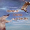 Portada EnigmaBird - Dance of Cranes in the Sky EnigmaBird - Dance of Cranes in the Sky