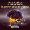 Portada Talla 2XLC & DJ Robyn - Endorphene Express (Extended Mix) Talla 2XLC & DJ Robyn - Endorphene Express (Extended Mix)