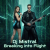 Portada Dj Mistral - Breaking into Flight
