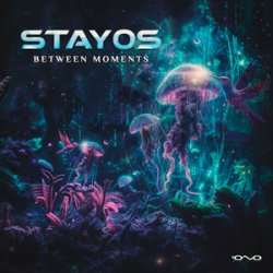 Portada Stayos - Tov Li (Original Mix)