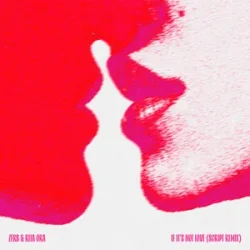 Portada Zerb & Rita Ora - If It’s Not Love (SCRIPT Remix)