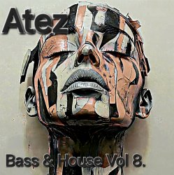 Portada Bass House Vol 8.