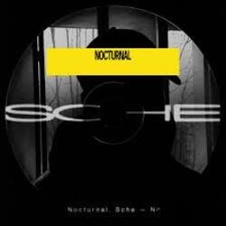 Portada Sche - N Y 0.2