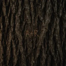 Portada Aistè & Rokas Yan - Šauksiu Tavo Vardą