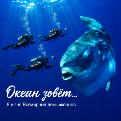 Portada Helena210 - Океан 🌊
