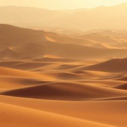 Portada Сергей Видов - Пустыня
