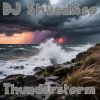 Portada DJ Shved&co - Thunderstorm DJ Shved&co - Thunderstorm