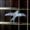 Portada Caged Rhythm - The Return (Original Mix) Caged Rhythm - The Return (Original Mix)