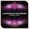 DJ Spaceman & WINTERBORN - Supercluster (Radio Mix)