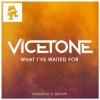 Vicetone feat. D. Brown - What I've Waited For (Original Mix)