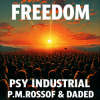 P.M.Rossoff & DaDeD - Freedom 1982. Psy Industrial Remix 2026