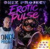 Portada Onix project , Kid Brutal - Ride the Beat Onix project , Kid Brutal - Ride the Beat