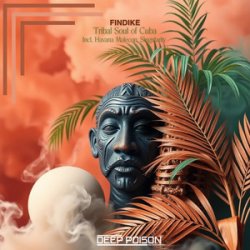 Portada Findike - Tribes (Original Mix)