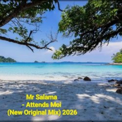 Portada Mr Salama - Attends Moi (New Original Mix) 2026​