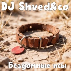 Portada DJ Shved&co - Бездомные псы