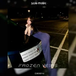 Portada DEENI - Frozen Nights