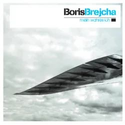 Portada Boris Brejcha - Flying Bird
