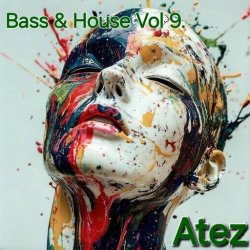 Portada Bass & House Vol 9.