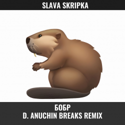 Portada Бобр (D. Anuchin Breaks Radio Edit)
