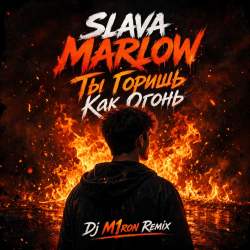 Portada ТЫ ГОРИШЬ КАК ОГОНЬ (Dj M1ron Remix)