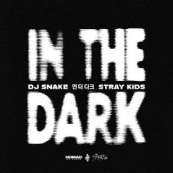 Portada DJ Snake & Stray Kids - In The Dark