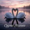 Portada Vasilii CECEGOV & Atom - Cygnus Melodies Vasilii CECEGOV & Atom - Cygnus Melodies