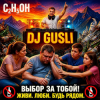 Обкладинка DJ GUSLI - C2H5OH DJ GUSLI - C2H5OH