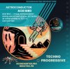 Astroconductor - Acid Bird