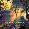 Hypnocoustics & Spun Out - Foxy (Original Mix)
