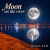 Cover DJ-Lion- Л. Е. В. - Moon on the river