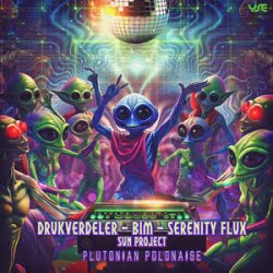Portada Drukverdeler & DJ Bim - The Triangle (Original Mix)