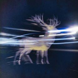 Portada Albedo Waves - Le Feu Sauvage
