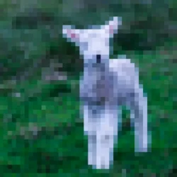 Portada Julia Wolf - lamb (feat. Kellin Quinn)