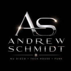 Andrew Schmidt feat. Andra Vox - The Summer's Gone (Radio Edit)