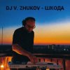 Portada Dj Vasya Zhukov - Шкода Dj Vasya Zhukov - Шкода