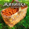 Portada Живинка - Морошка Живинка - Морошка