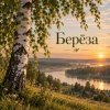 Portada Апро - Берёза Апро - Берёза