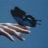 Portada Lxst Wxrld, Mxnsxt - Butterflies in the Stomach Lxst Wxrld, Mxnsxt - Butterflies in the Stomach
