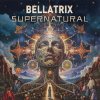 Portada Bellatrix - Wonderland (Original Mix) Bellatrix - Wonderland (Original Mix)