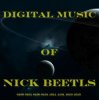 Nick Beetls - Spindle Of Days