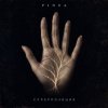 PINEA - Суперпозиция