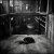 Portada SerDi - Concrete Lungs