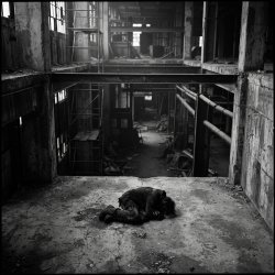 Portada SerDi - Concrete Lungs