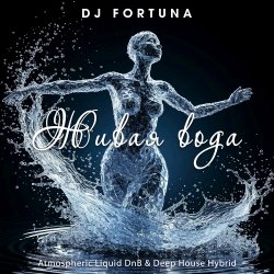 Portada DJ FORTUNA - Живая вода (Russian Edition)